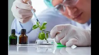 What are genetic resources and how they are helpful to us | genetic resources
