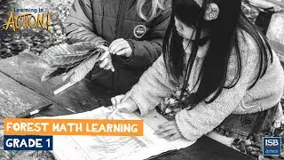 Forest Math with Grade 1 - Learning in Action