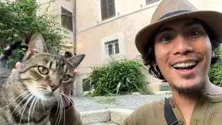 Italian Pússi