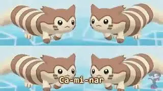 Ca mi nar cancion pokemon Furret (Furret Walk) 10 Horas