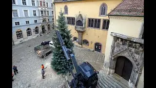 Christbaum vor dem Rathaus in Regensburg 2022