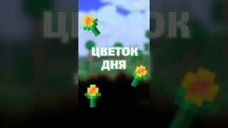 ВСЕ ПРО ЦВЕТОК ДНЯ В ТЕРРАРИЯ! 