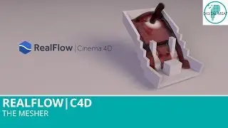 Realflow For C4D: The Mesher