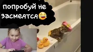 тест на психику - попробуй не засмеятся Челлендж! засмеялся - проиграл