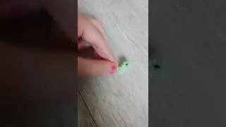 клава поняла что она очень красивая жаба🐸