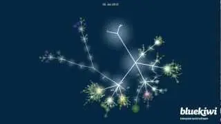 blueKiwi : the poetics of coding