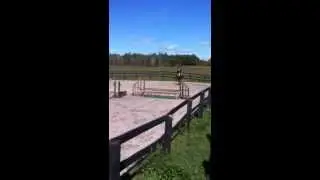 Kanjer