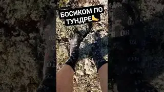 БОСИКОМ ПО ТУНДРЕ #поход #тундра #кольскийполуостров #походы