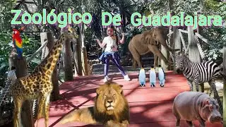Zoológico de Guadalajara uno de los mejores de Latinoamérica!!!