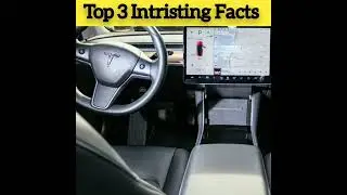 Facts About Elon Musk | Tesla Company Facts | Hindi Fact | Shorts | Facts | Japan Fact | Norway Jail