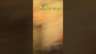 Идиотизм😂