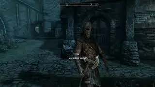 Skyrim V - 10 years later...