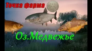 Фарм на медвежке. Аккаунт Универсал. Русская рыбалка 4