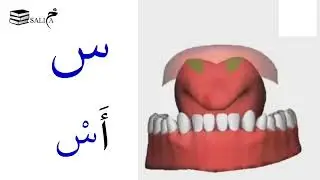 3D Pronunciation of the Arabic alphabet | mahraj |