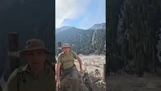 Бордюр на Старой Японской дороге