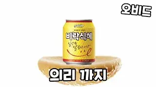 참깨빵 위에 의리