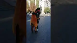 Хватит там мой хвост трогать