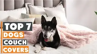 7 Best Couch Covers for Dogs: The Ultimate Guide for Pet Owners