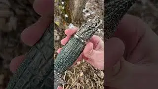 Аллигатор из дамасской стали