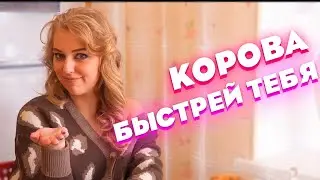 Как мужик подвез пассажира с коровой |  Анекдот про мужика