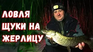 РЫБАЛКА НА ЖЕРЛИЦЫ С НОЧЕВКОЙ. Ловля щуки на живца