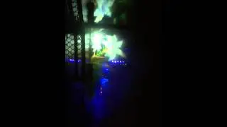 Sidney's water show