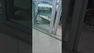 Desabamento do teto de santuário em Recife deixa mortos e feridos 30/08/2024