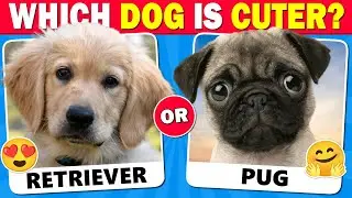 Choose the CUTEST Dog! 🐶 (Which Dog is Cuter?) 😍