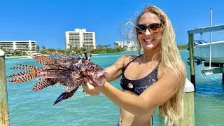 Venomous Lion Fish (Catch, Clean & Cook) Scuba Diving