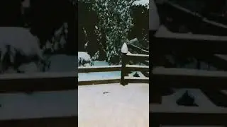 просто наконец-то выпал снег ❄☃️🎊 #Shorts