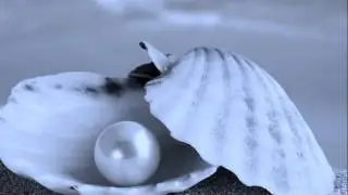 У моря   Эрнесто Кортазар