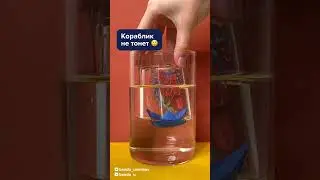 Домашний эксперимент вместо уроков физики 🤓