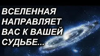 Что вы притягиваете в свою жизнь?
