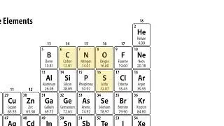 The Elements of Life