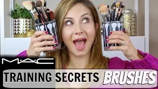 STOP Wasting Your Money! Makeup Brushes Everything you Need to Know | MAC Training Secrets Revealed