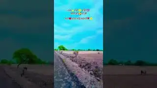 Barsat ke din aaye #bhojpuri #song #bhojpurisong #shorts#shortsvideo #rap #dancehall#music #newmusic