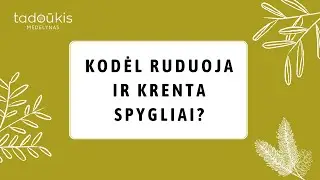 Spygliakritis