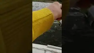 Щука на спиннинг в нерест #трофей #Хантер #окунь #сом #судак #форель #карп