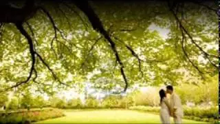 Mi Soledad y Yo - Alejandro Sànz.mpg