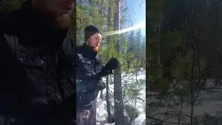 Веточки для шалаша  