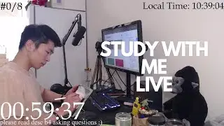 Study With Me Live Pomodoro 60/10🦍🌱