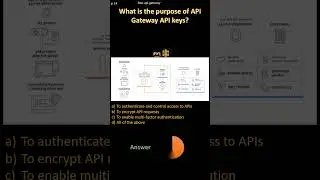 | Tech Guru Ram |What is the purpose of API Gateway API keys?