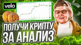 ПОЛУЧИ ДРОП ЗА АНАЛИЗ / СОЧНЫЙ ДРОП ОТ VELO DATA / ЗАРАБОТОК БЕЗ ВЛОЖЕНИЙ