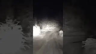 ночное патрулирование