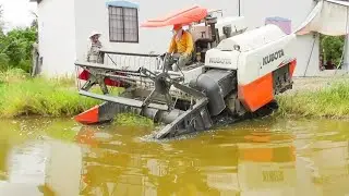 QUAY CẢNH MÁY CẮT LÚA KUBOTA DC70 CẮT LÚA VUÔNG TÔM CẤM ĐẦU