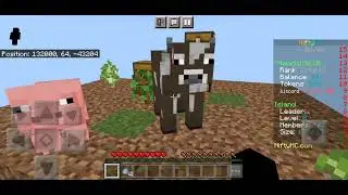 A long, boring, and sorta cringe Minecraft One Block video