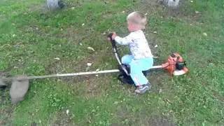 Заводи бензопилу сынок