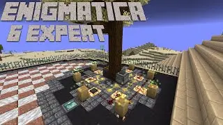 Ritual of the Forest Automation: Enigmatica 6 Expert Minecraft 1.16.5 LP EP #26