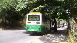 Autobuses De Venezuela