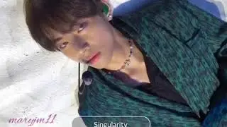 V Singularity